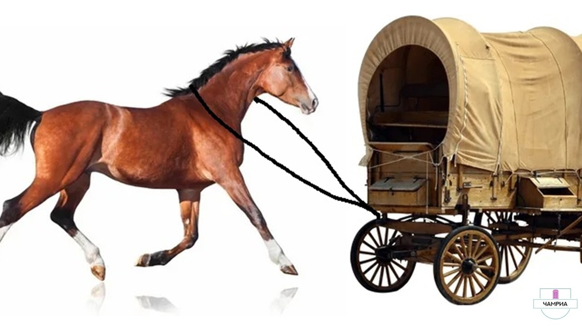 #English_idioms #Английские_идиомы #dont_put_the_cart_before_the_horse #не_ставь_телегу_впереди_лошади