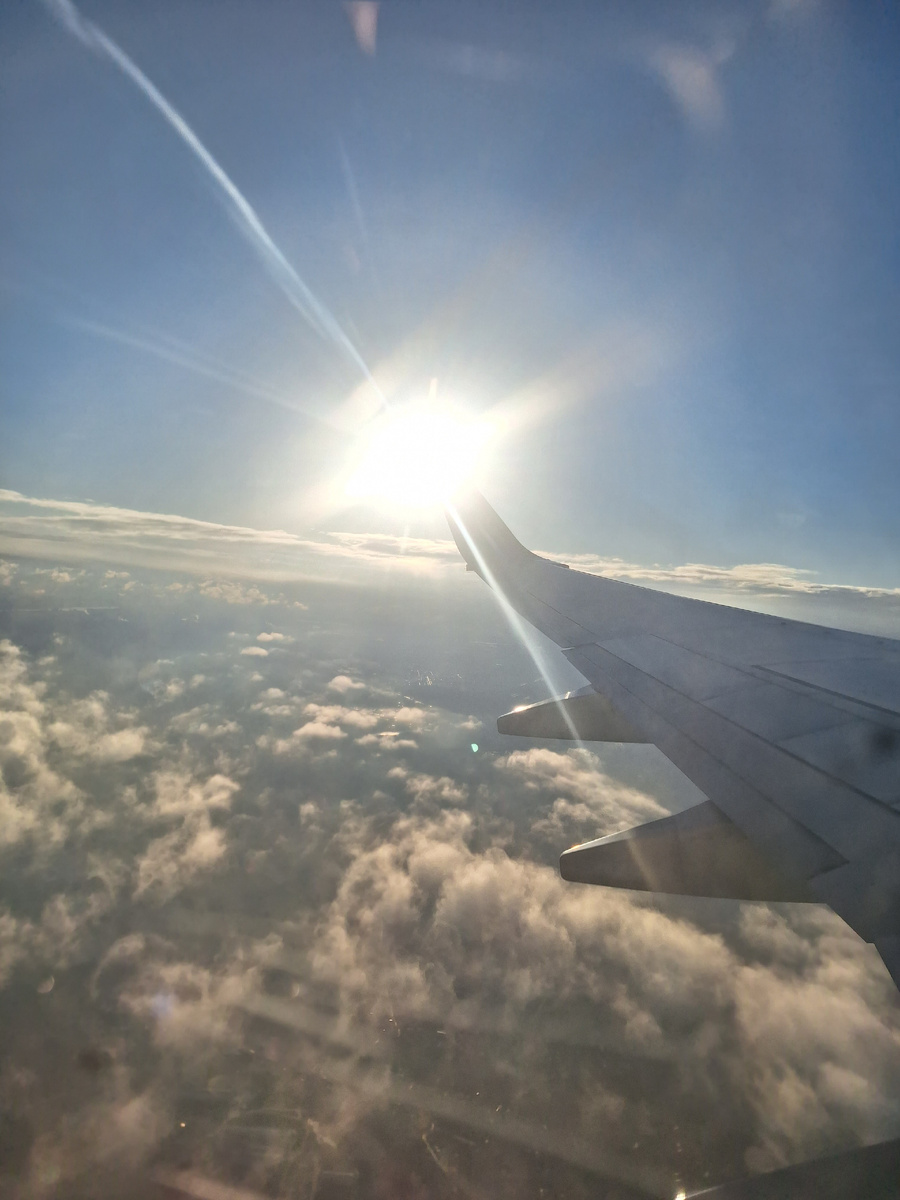 Летим и солнце радует нас