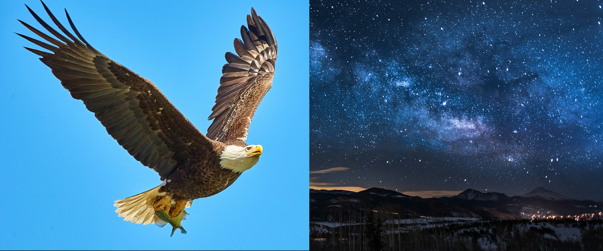 Подборка фото. Название звезды