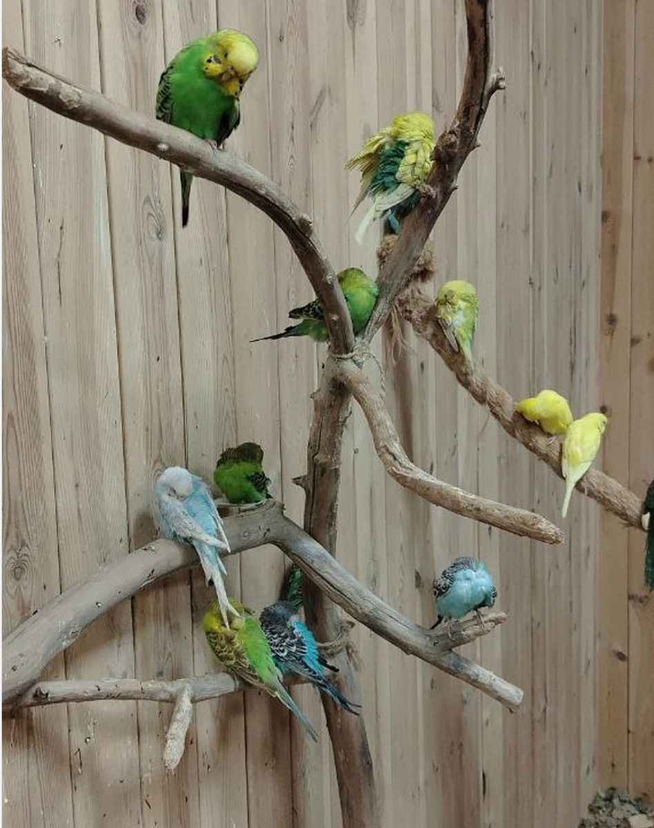 Уголок суетологов