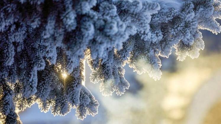    Максим Денисов/mos.ru