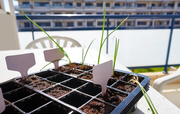 фото 123RF/tonobalaguer