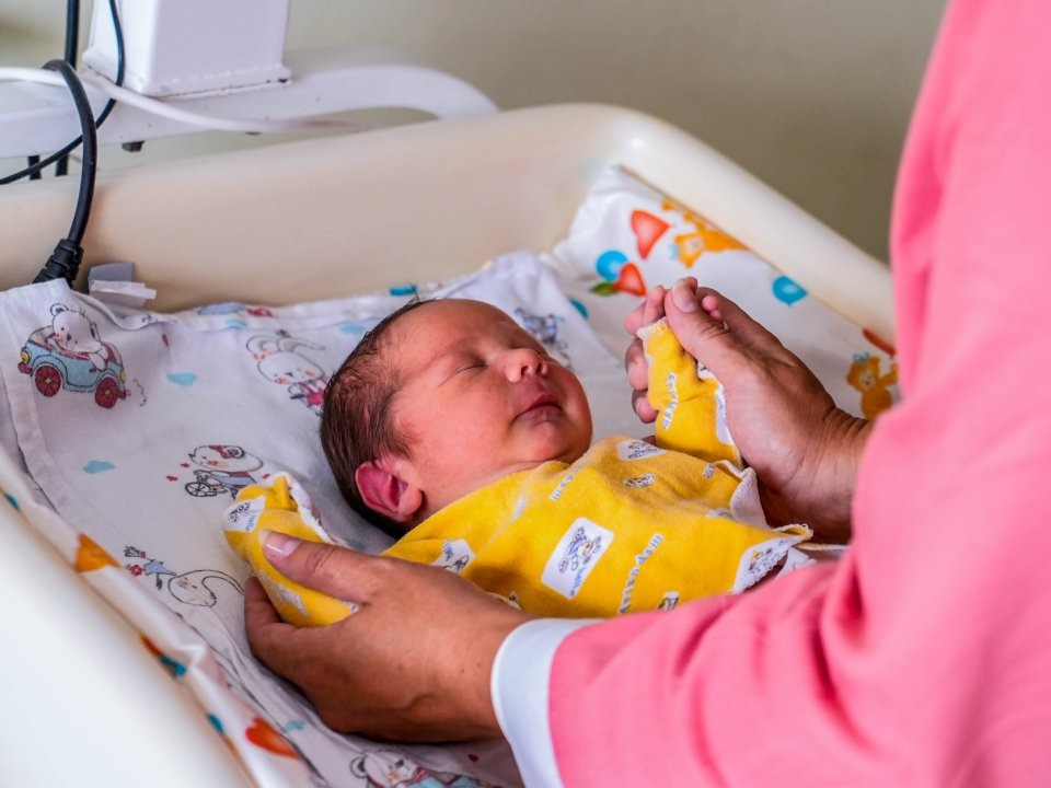    Фото: пресс-служба губернатора и правительства Московской области/Александра Степанова