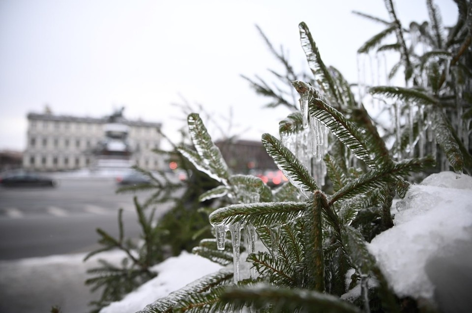    В Петербурге ожидают снег. Алексей БУЛАТОВ