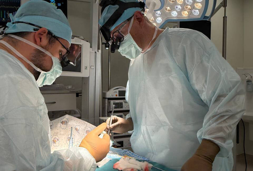    Фото: Минздрав РФ