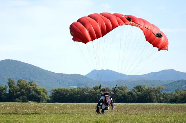    Фото: ru.freepik.com