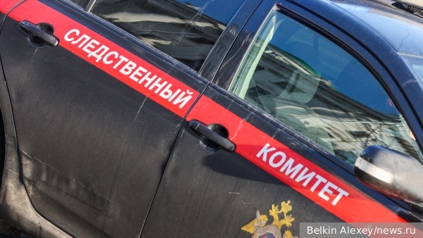     Фото: Belkin Alexey/news.ru   
 Текст: Дмитрий Зубарев