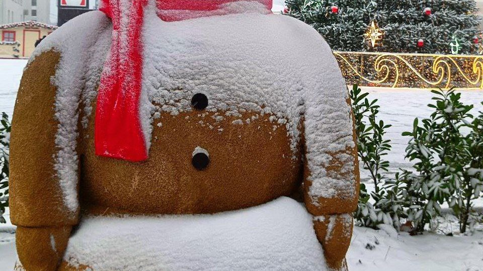 И рады мы проказам матушки-зимы. Анапа, январь, много фото