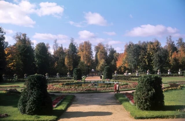    К чему снится парк?