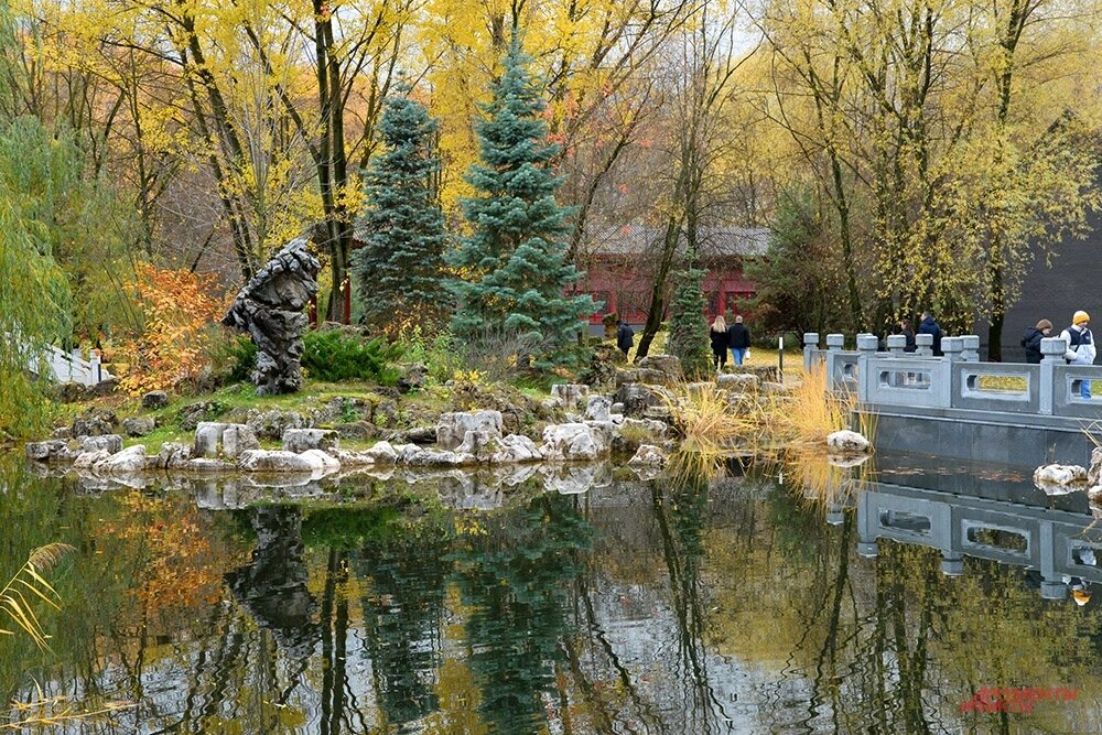    Фото: АиФ/ Эдуард Кудрявицкий