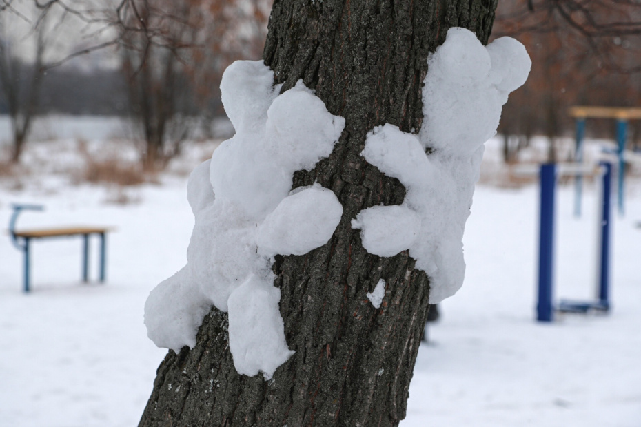    Сергей Булкин/NEWS.ru