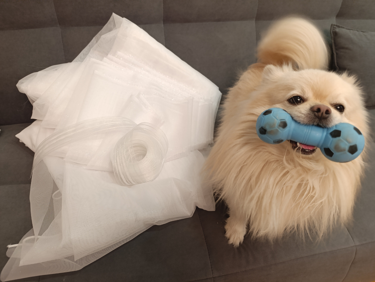 Фото автора 