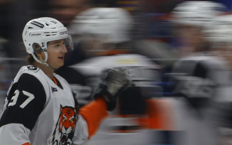 чемпионат.ком