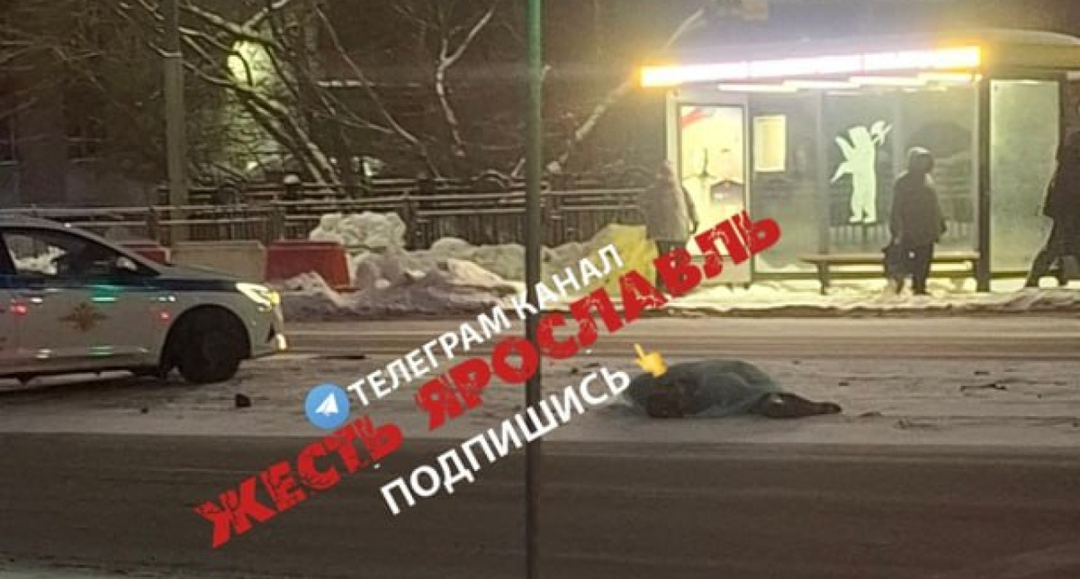    телеграм-канал Жесть Ярославль