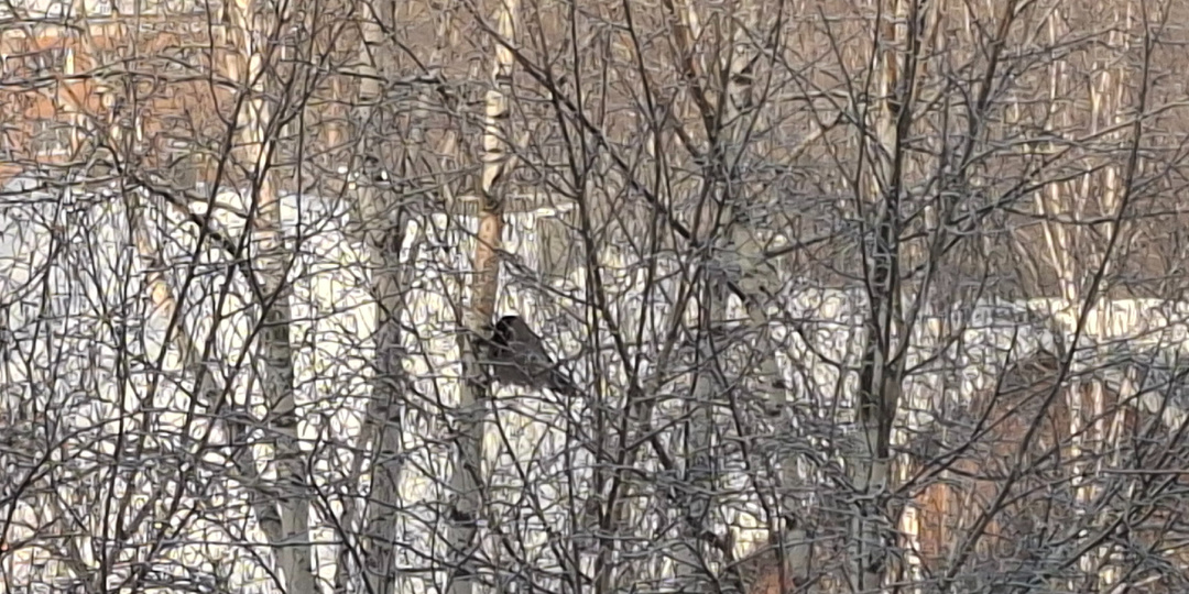 Суббота - есть суббота, и