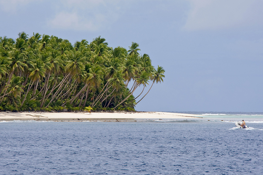    © Антон Денисов/РИА Новости