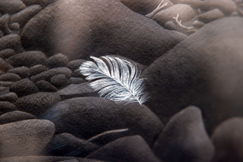    Картины, как фото, художника Анны Грязновой показывают в Музее ИЗО КарелииИлья Тимин