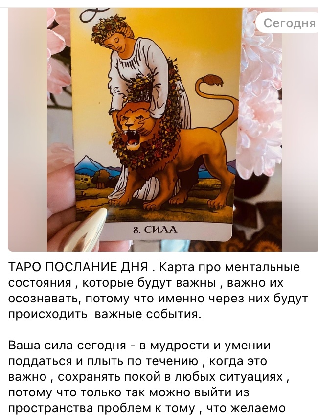 С любовью к каждому ,Наташа Эльберг- более 25 лет непрерывно практикующий энергопсихолог, кризисный психолог, синестет, автор книг-бестселлеров , автор методики ментальной трансформации и коррекции любых жизненных ситуаций с помощью специальных энергетических практик. Автор - мастер энергетического таро