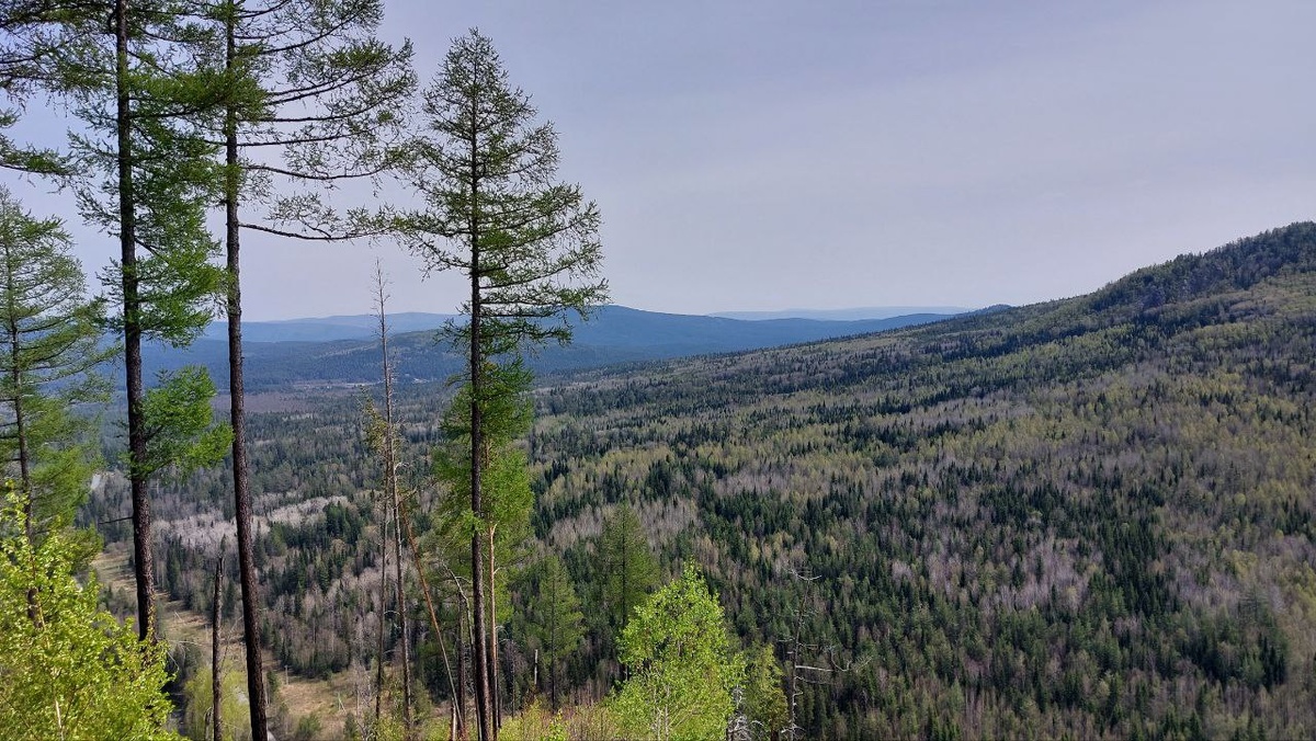 Вид с горы Золотые шишки