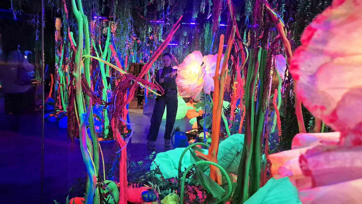 Сказочный неоновый лес