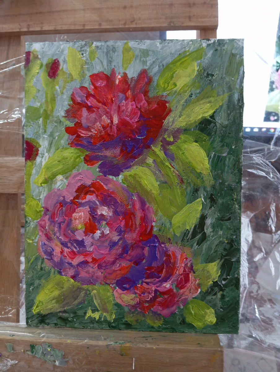 Роза, похожая на пион