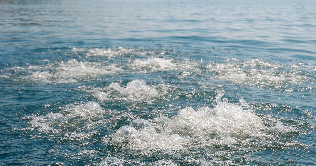 Море, которое внезапно начало «кипеть»