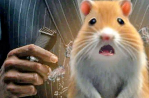 $FNXS — наш символ, но не призыв к действию. Решение за вами. 🔥