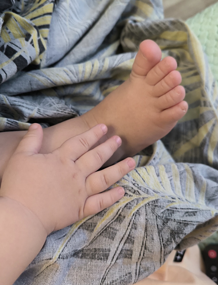 Все фотографии в статье авторские