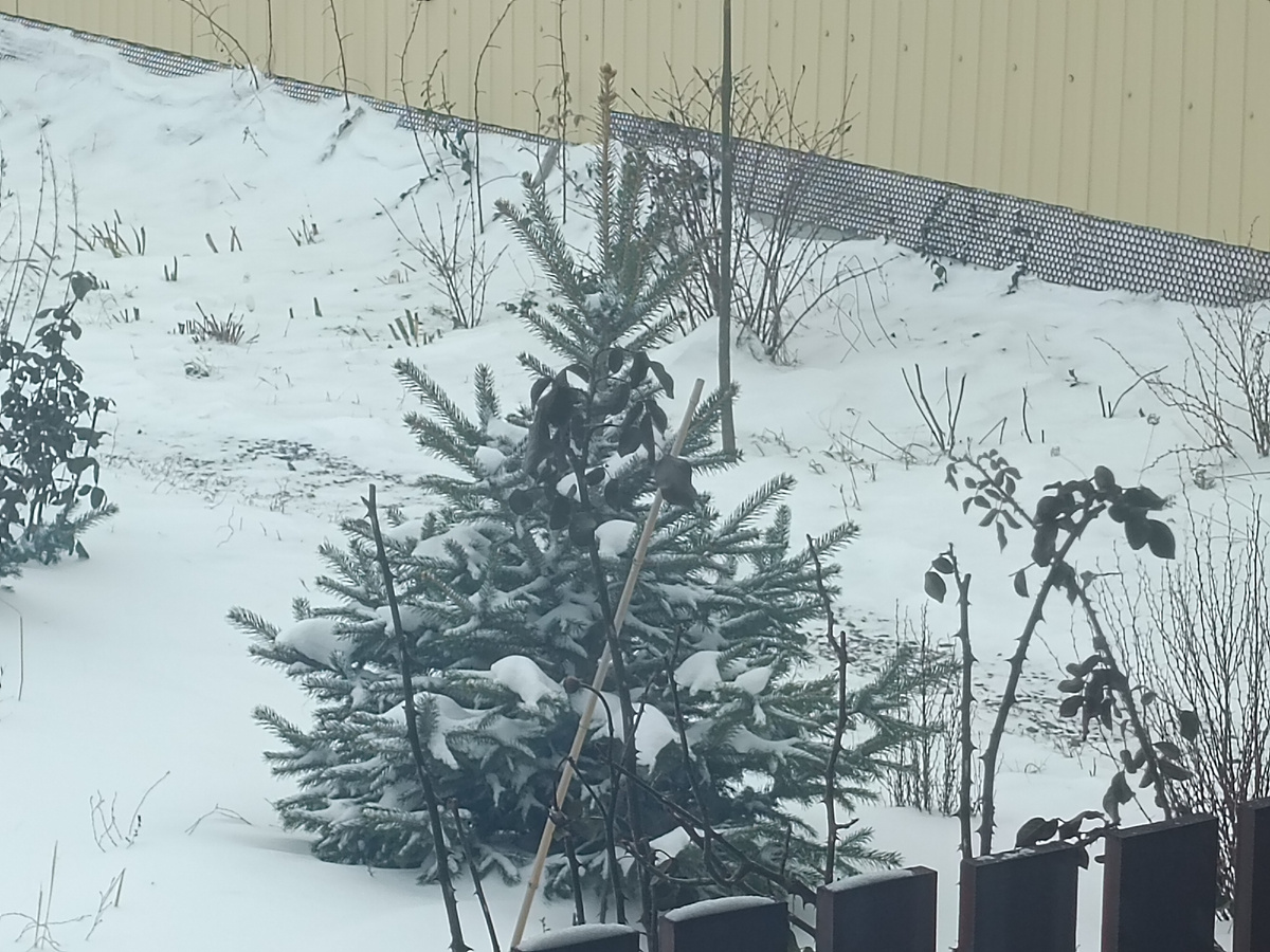 Зима-то за ночь никуда не делась😆