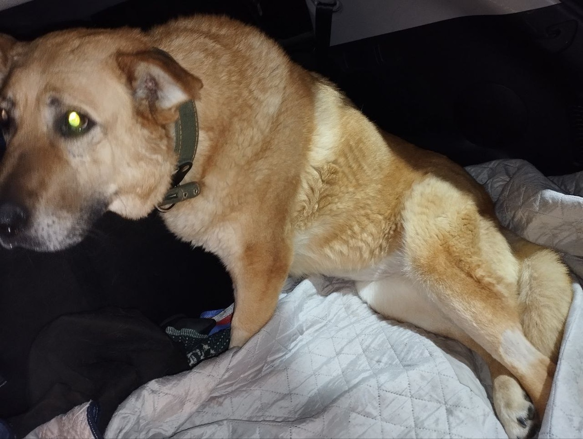 Милая Муха 🙏