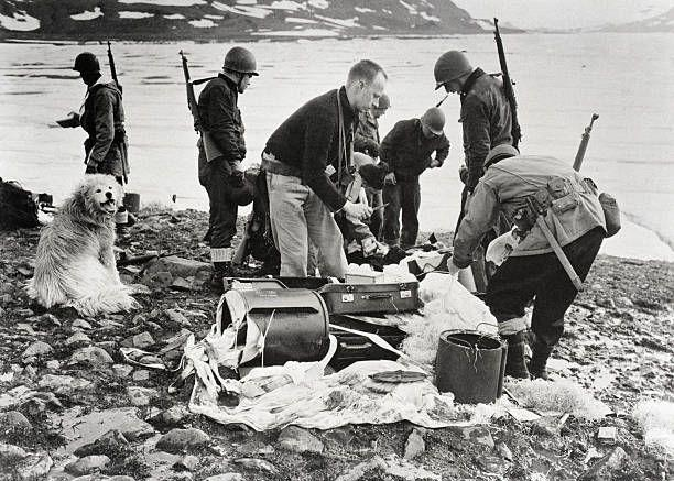 Выстрелы во льдах