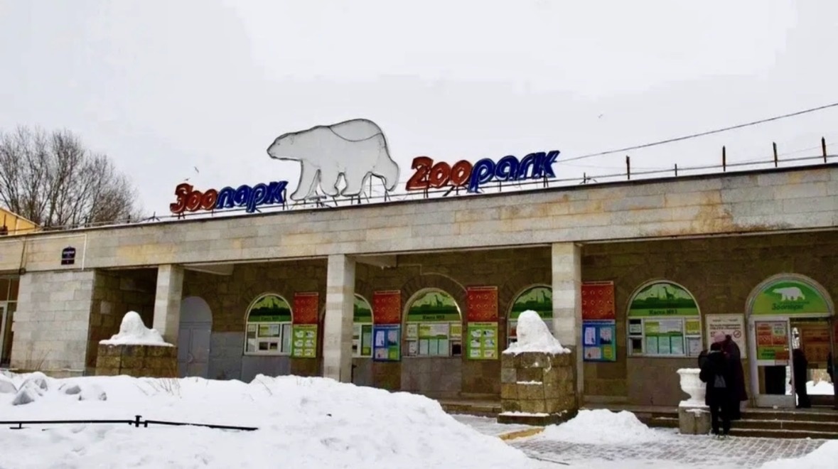 Ленинградский зоопарк сегодня