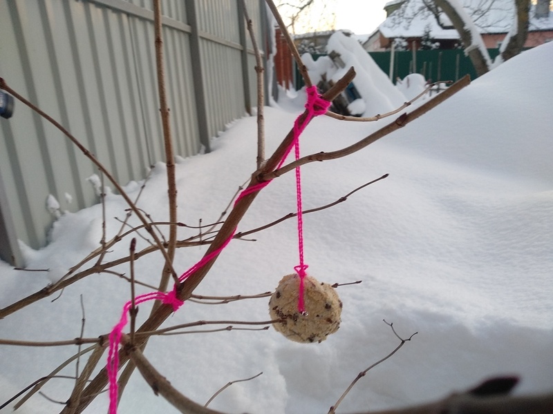 Печенье на верёвочке – вкусный подарок птицам