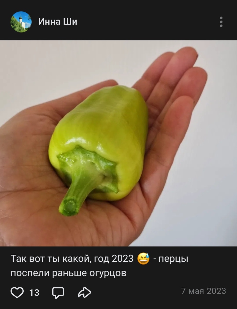 Скрин моей публикации 2023 года