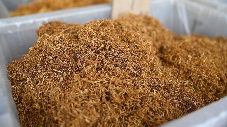    Фото: Global Look Press/Johannes Neudecker