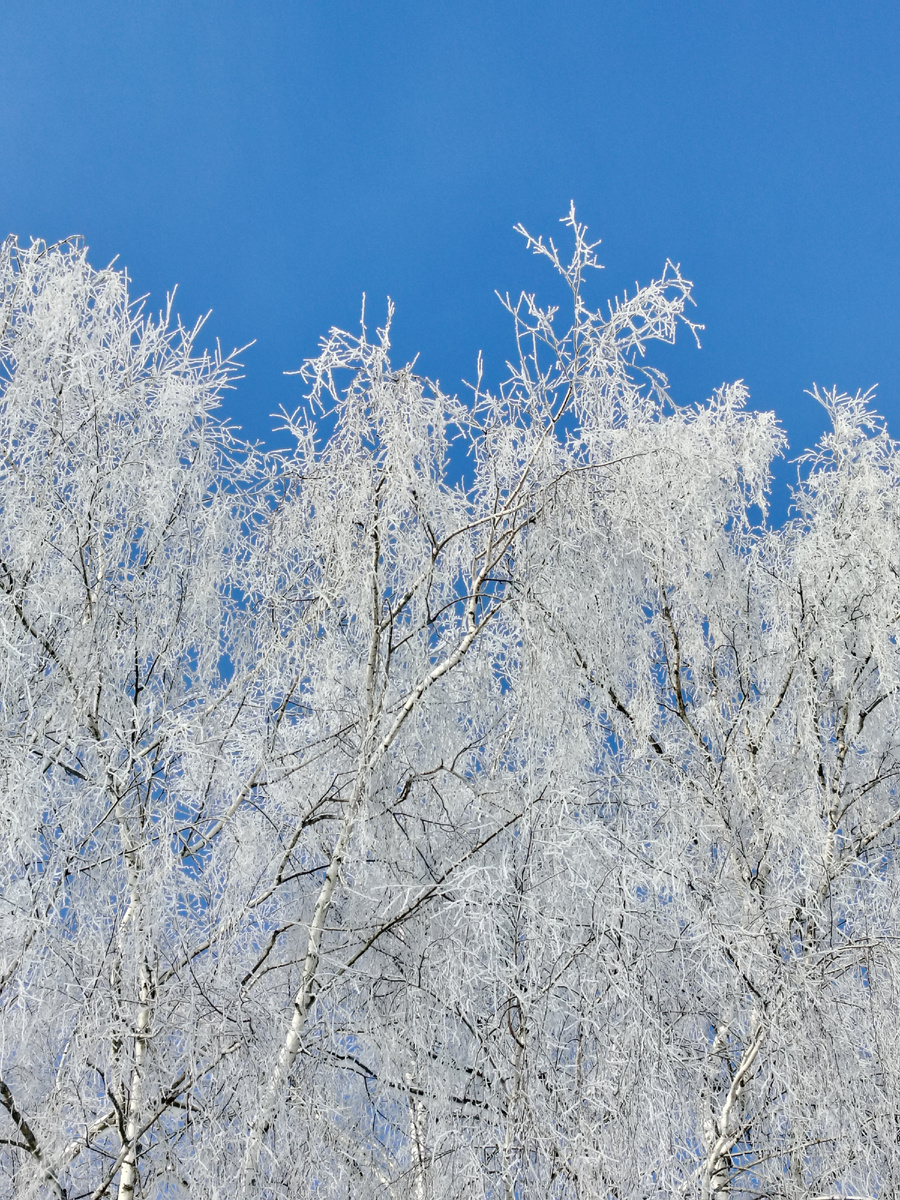 Загородном небо