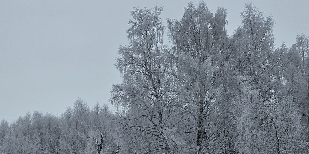 С чего начинается загородная усадьба: первые 70 000 ₽ на геодезию и расчистку снега