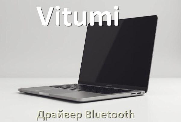 
Драйвер на Bluetooth для ноутбука Vitumi с Windows 10 и 11