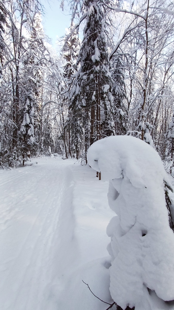 За подаянием. Фото Татьяны Федотовой
