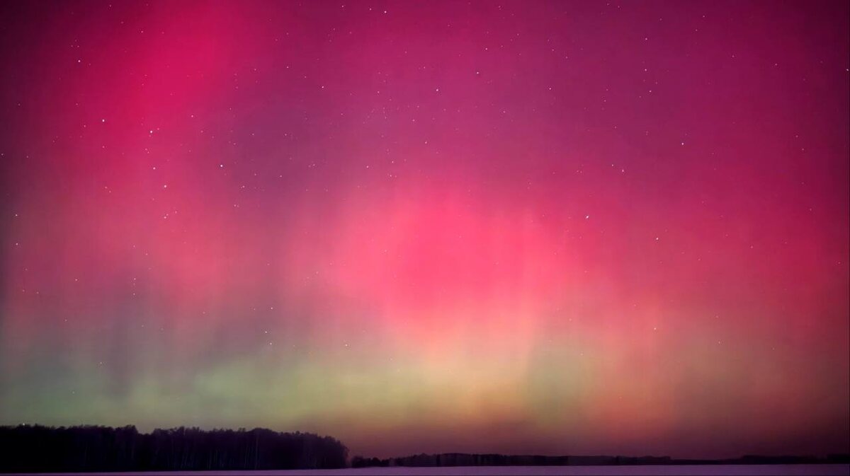 Полярное сияние 19-20 января 2026 года в Сибири, изображение из открытых источников