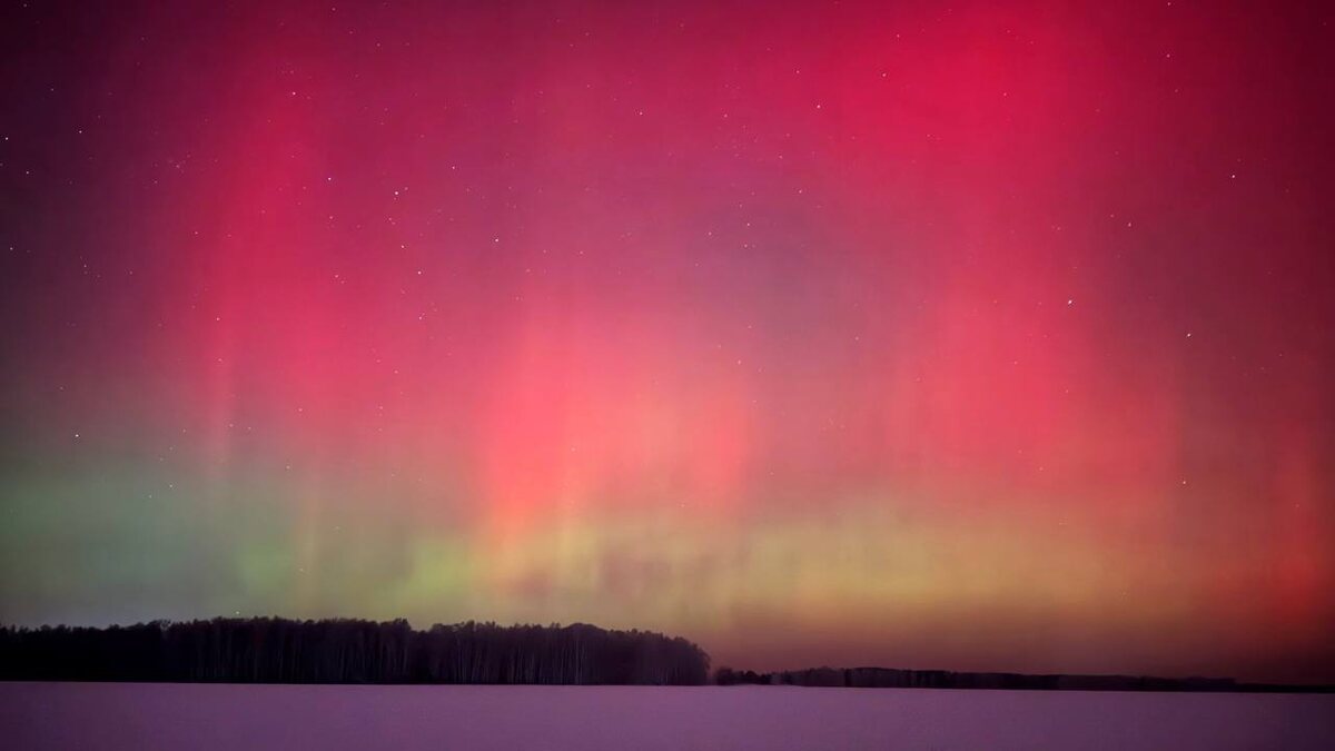 Полярное сияние 19-20 января 2026 года в Сибири, изображение из открытых источников