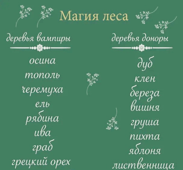 Рекомендуется сначала отдать лишнее — тревогу или болезнь — дереву-вампиру, а затем наполниться нужным — силой противостоять болезням и верой в себя — около дерева донора (картинка из интернета)