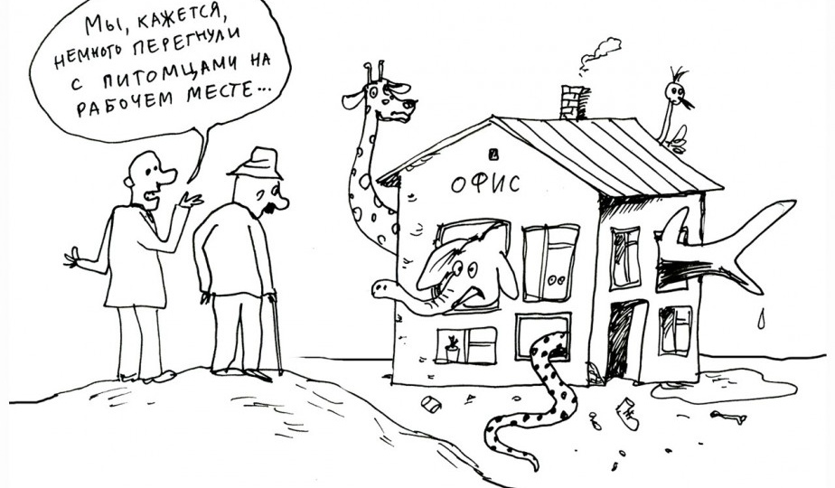 От бесплатного пива до отпуска по уходу за щенком - на что готовы компании в мире для привлечения кадров