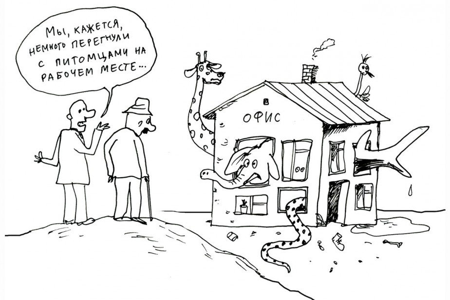 Рисунок: Дмитрий Петров/"Солидарность"