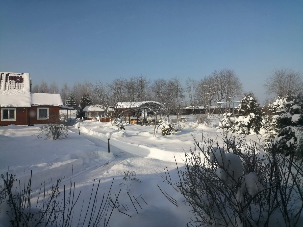 Фото автора 24.01.26.