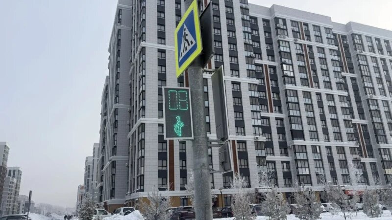     Новый светофор barnaul.org