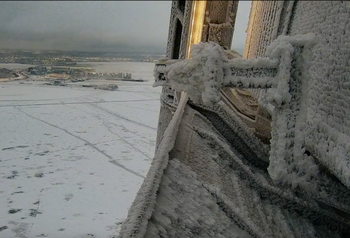 фото: https://t.me/lakhtacenter/23043