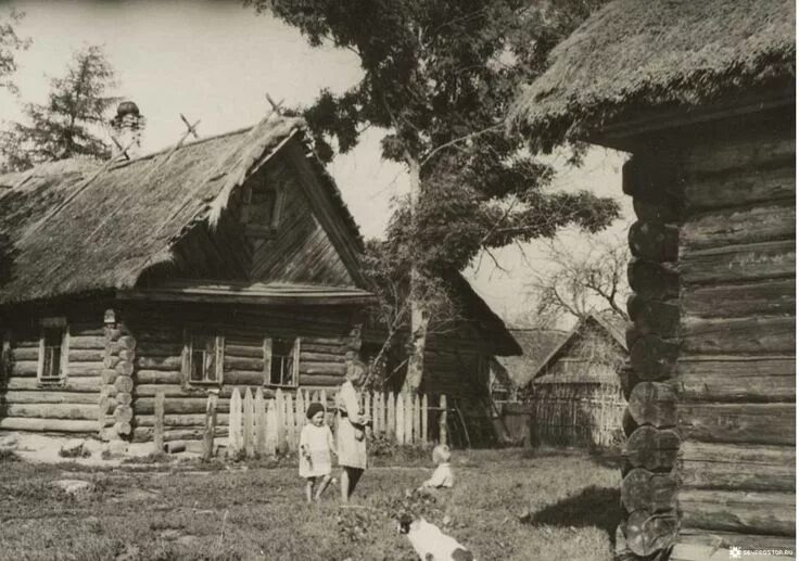 Взято из открытых источников интернета Яндекс.