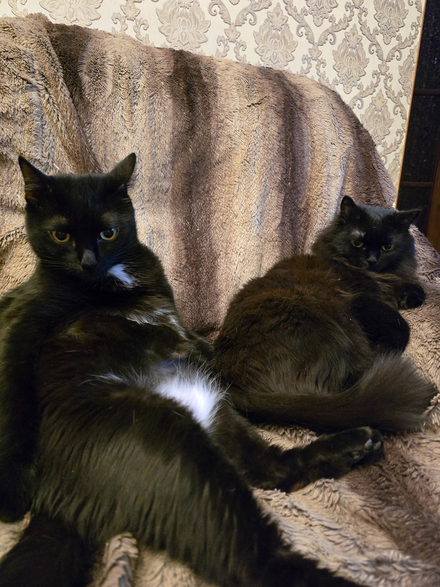 Вася (слева) Люся ( справа)