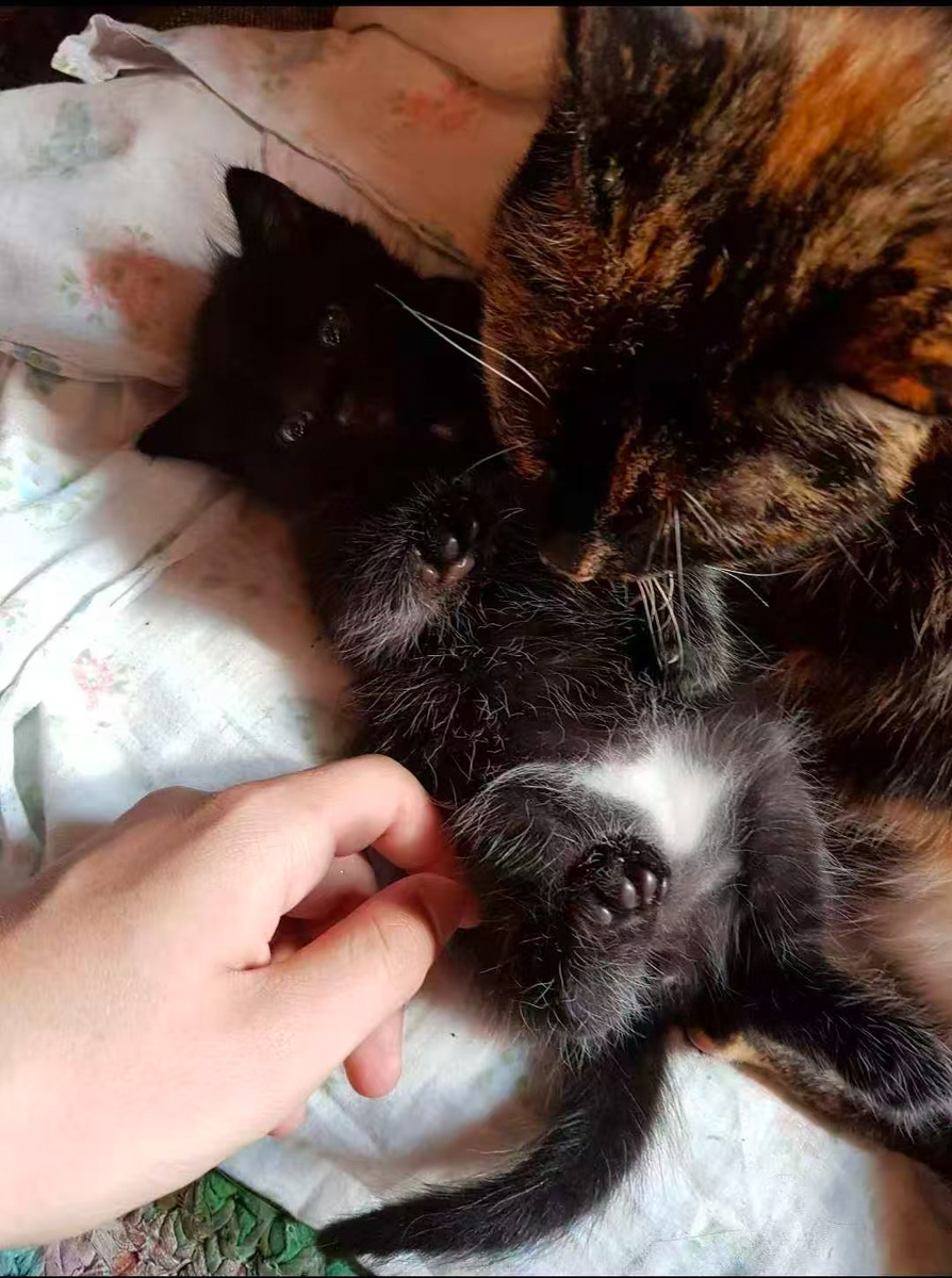 Маленький Вася с мамой 